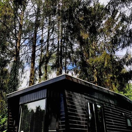 Heerlijk Chalet Midden In De Natuur Putten Esterno foto