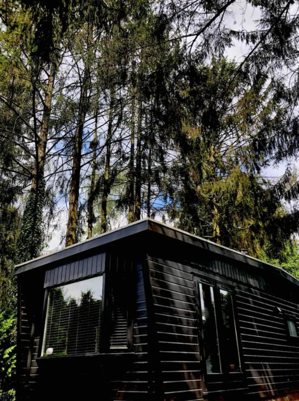 Heerlijk Chalet Midden In De Natuur Putten Esterno foto